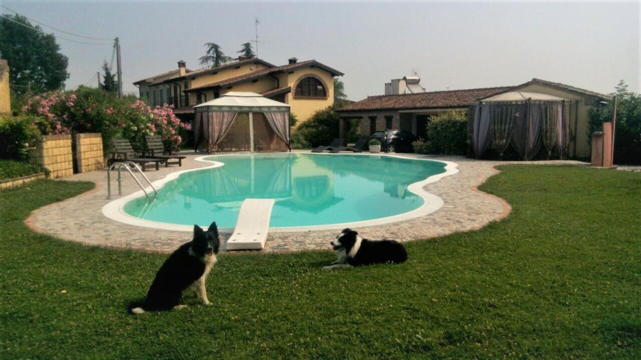 B&B Il Martin Pescatore Bagnolo San Vito Exterior photo